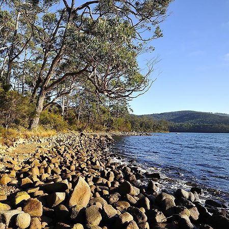 Nrma Port Arthur Holiday Park Εξωτερικό φωτογραφία