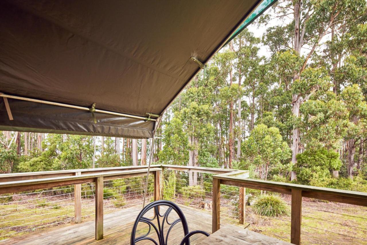 Nrma Port Arthur Holiday Park Εξωτερικό φωτογραφία