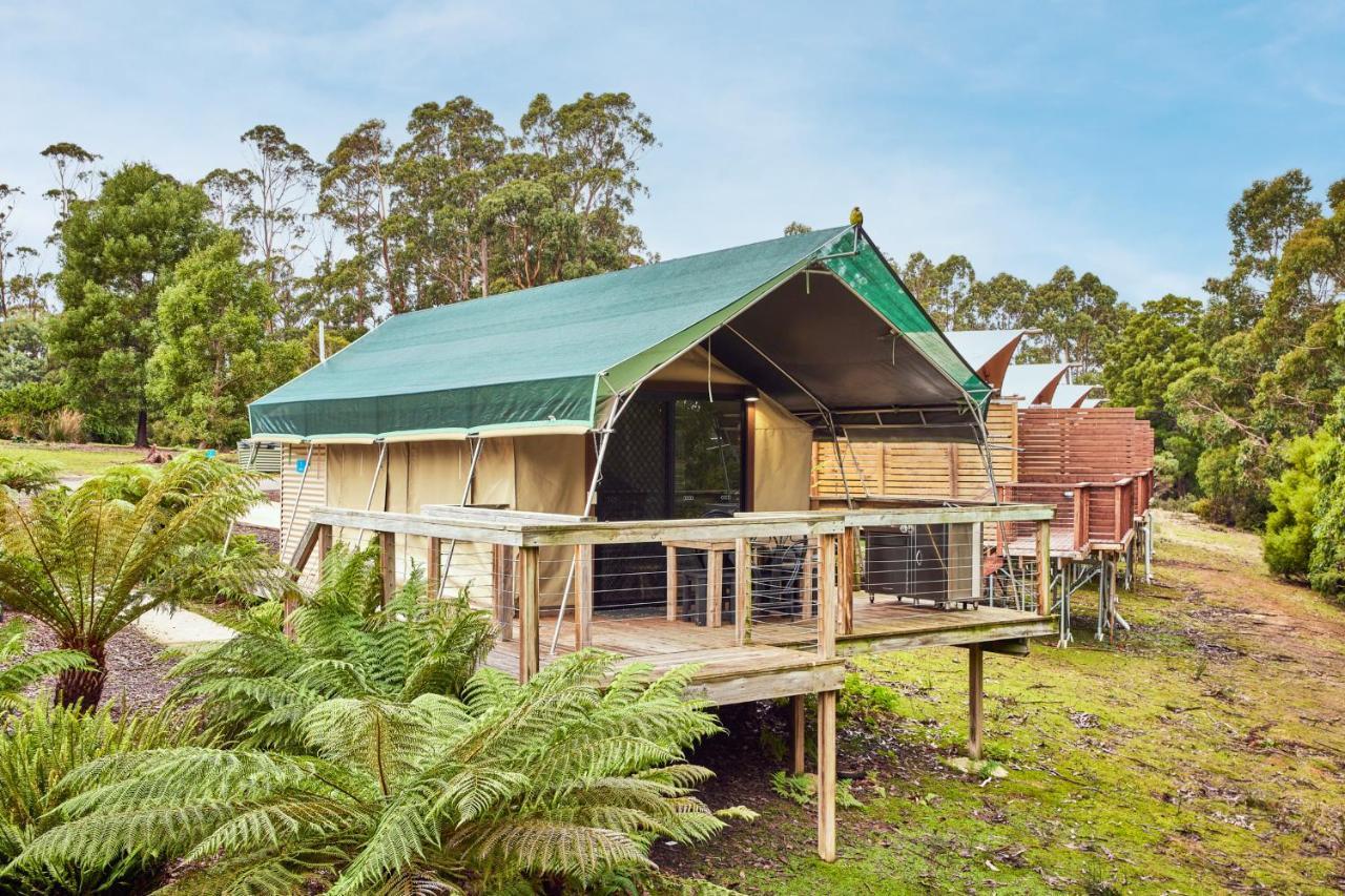 Nrma Port Arthur Holiday Park Εξωτερικό φωτογραφία