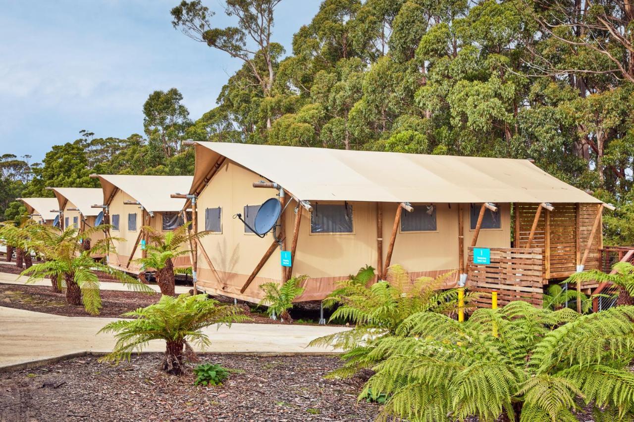 Nrma Port Arthur Holiday Park Εξωτερικό φωτογραφία