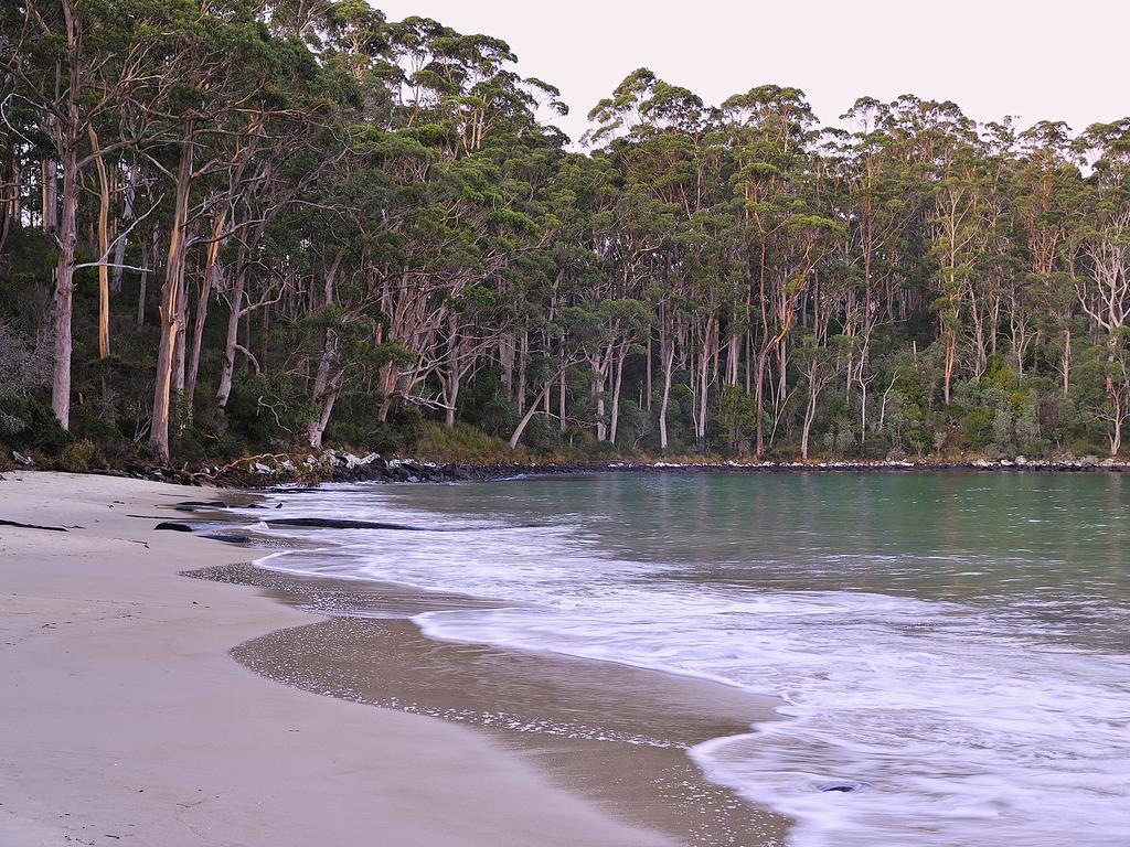 Nrma Port Arthur Holiday Park Εξωτερικό φωτογραφία