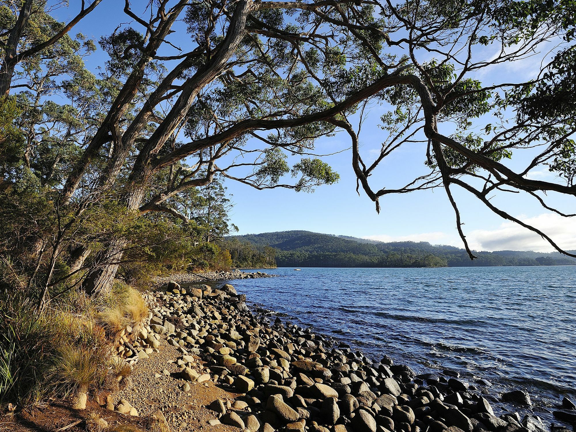 Nrma Port Arthur Holiday Park Εξωτερικό φωτογραφία